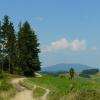 Maciejowa 852 m.n.p.m. - Stare Wierchy 980 m.n.p.m., Lidka Kwiatkowska