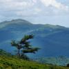 W Bieszczady Doliną Solinki , Piotr Kutiak