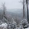 Gorce i Beskid Wyspowy, Mariusz Wiśniewski