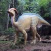Dinopark Szklarska poręba, Ela