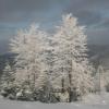Beskid Mały zimą, Teresa Nowak