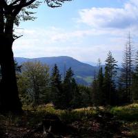 BESKID ŚLĄSKI - Czerwonym szlakiem na Równicę, Krzysztof Ch.