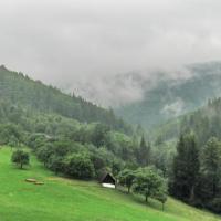 Wycieczka na Równicę i Orłową, Bastet Monia