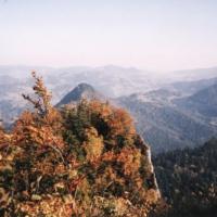 Szczawnica, Pieniny, , Lidka Kwiatkowska