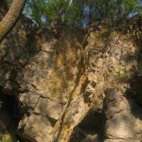 Rezerwat Szachownica, Magdalena