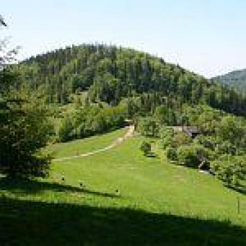 Równica, Orłowa - zdjęcie
