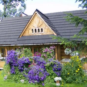 Zakopane 2008 - zdjęcie