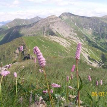 Tatry Zachodnie - zdjęcie