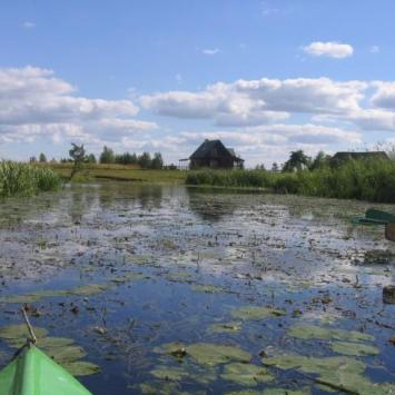 Rzeka Biebrza i okolice - zdjęcie
