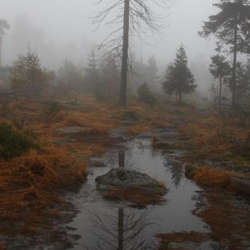 Wyprawa do "Mordoru" - Góry Stołowe - zdjęcie