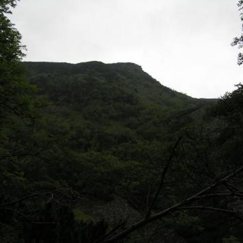 Diablak - zdjęcie