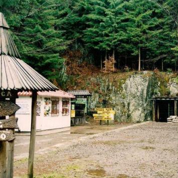 Góry Sowie i okolice - 2005r, Tadeusz Walkowicz