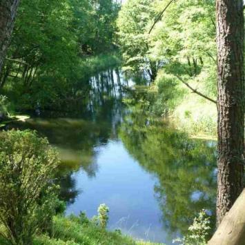 Chojnice -Borne Sulinowo rowerem - zdjęcie