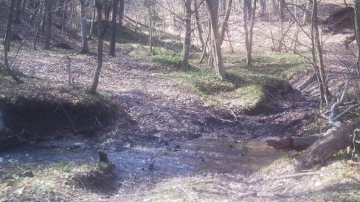 Jawornik Polski - Hyżne, Rafał Leś
