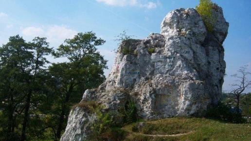 Mstów, ivona