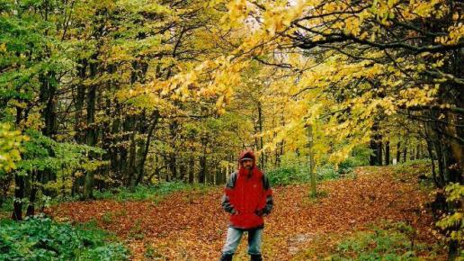Krynica, Bieszczady III - 2007r, Tadeusz Walkowicz