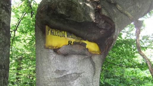 Leskowiec, Adam Prończuk