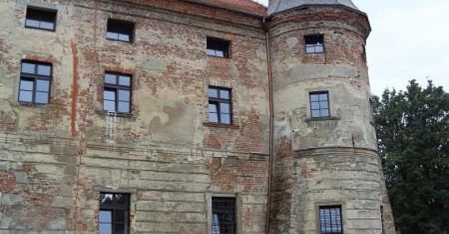 Zalew w Rybniku i Pałac w Rudach - zdjęcie