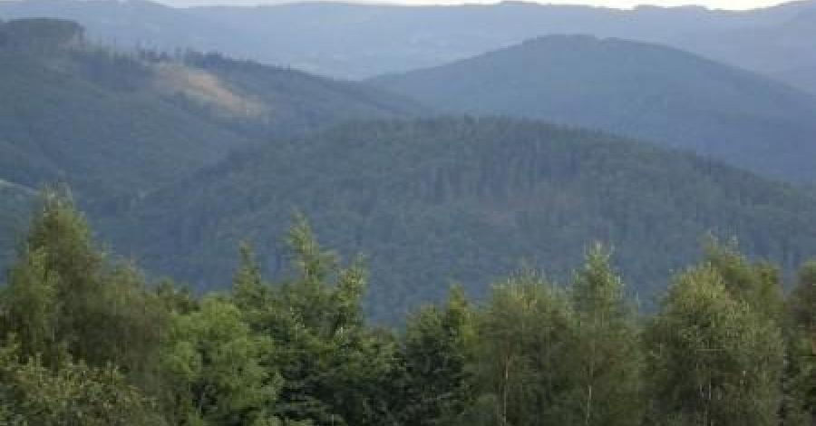 Wycieczka do Ustronia - zdjęcie