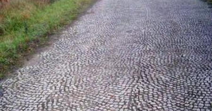 Ojców - przed pracą. - zdjęcie