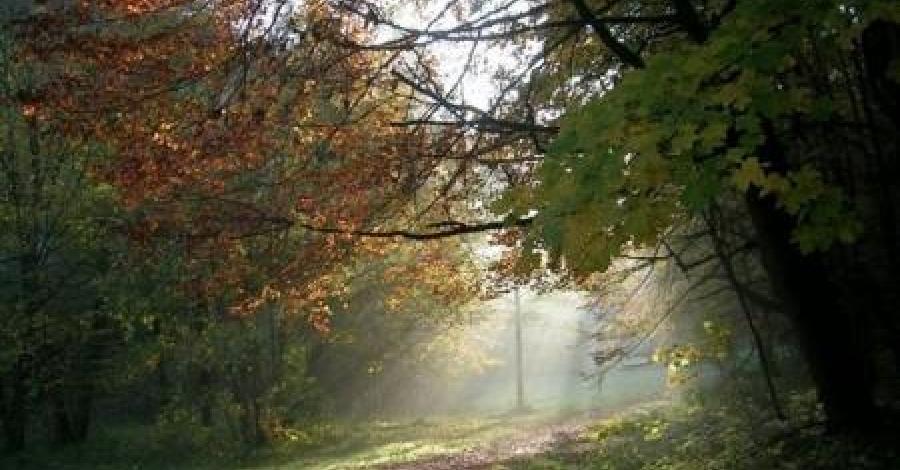Ojców przed pracą... - zdjęcie