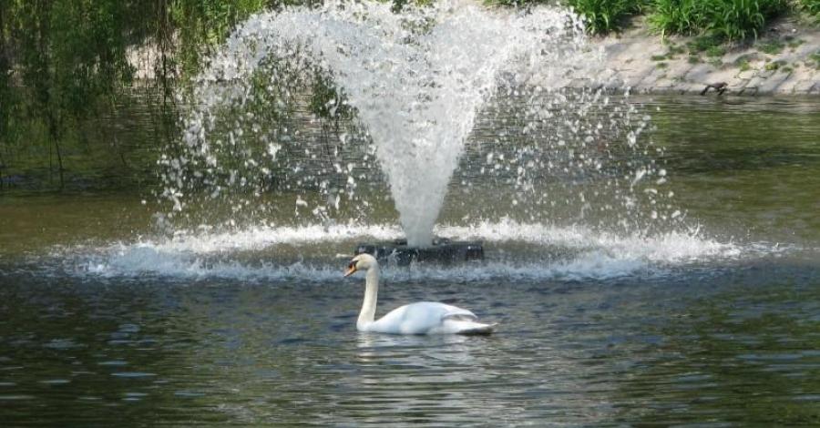 Park Miejski w Legnicy. - zdjęcie