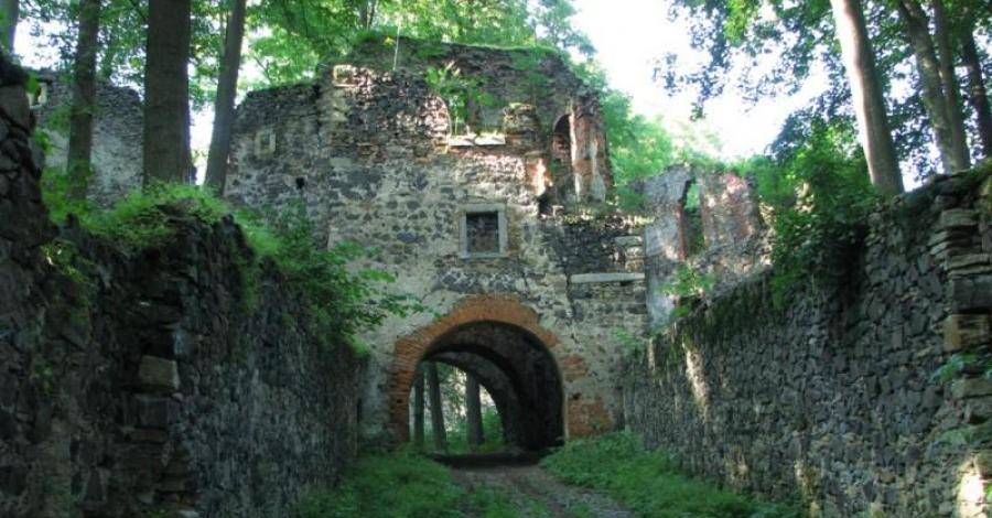 Zamek Gryf - zdjęcie