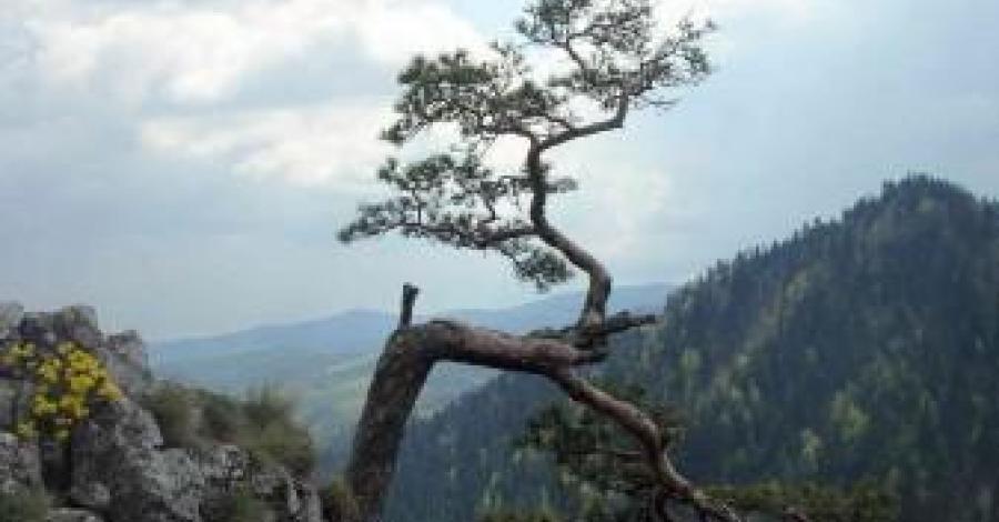 Pieniny - zdjęcie