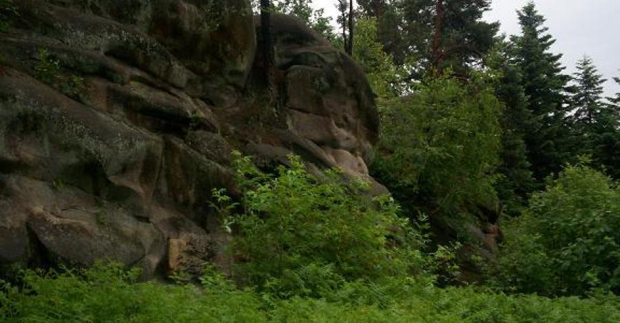 Bieszczady - zdjęcie