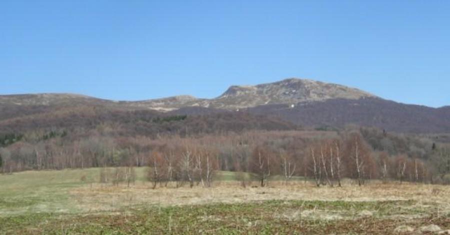 Tarnica - zdjęcie