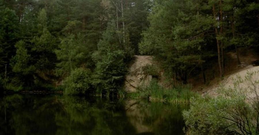 Rezerwat przyrody Biesak-Białogon - zdjęcie