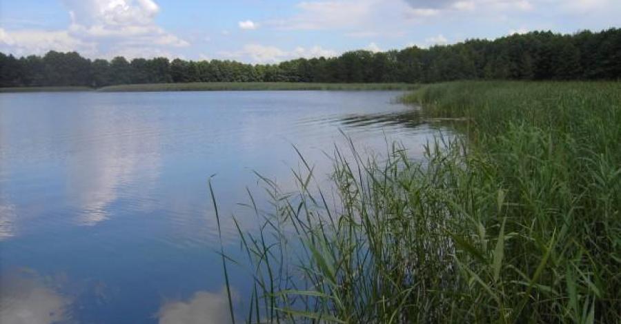 Na dwóch kółkach wokół WIGIER - zdjęcie