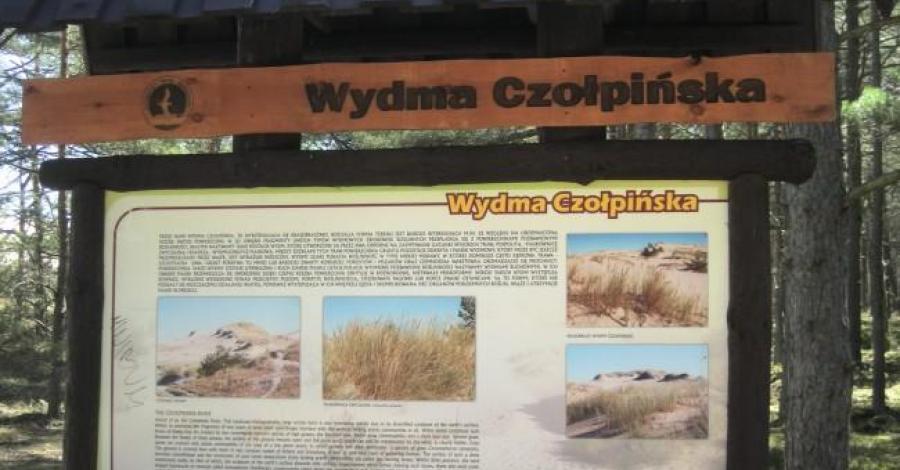 wydma Czołpińska - zdjęcie