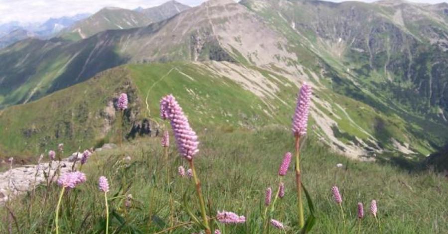 Tatry Zachodnie - zdjęcie