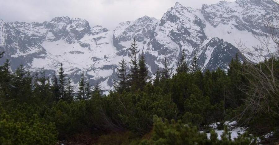 1 - majowe Tatry Wysokie. - zdjęcie