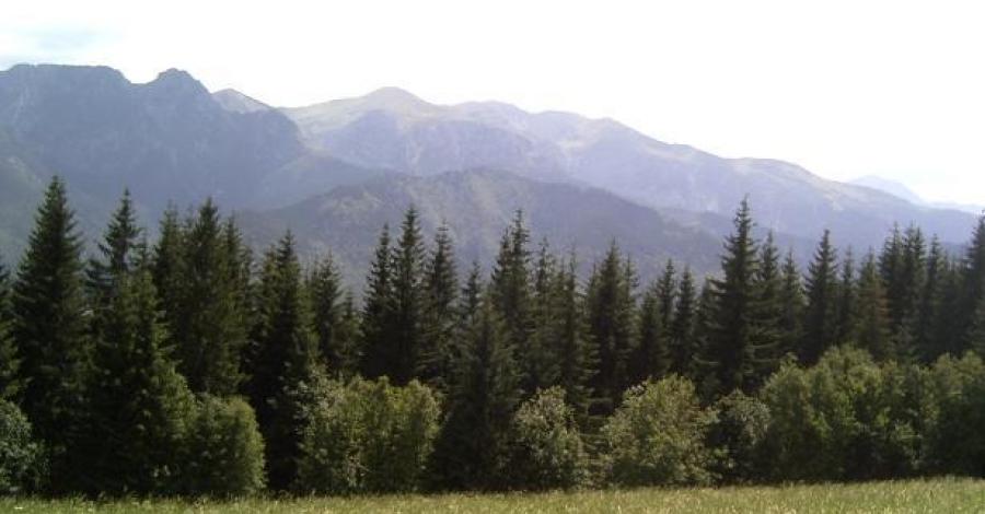 Zakopane - raj turystów i nie tylko - zdjęcie