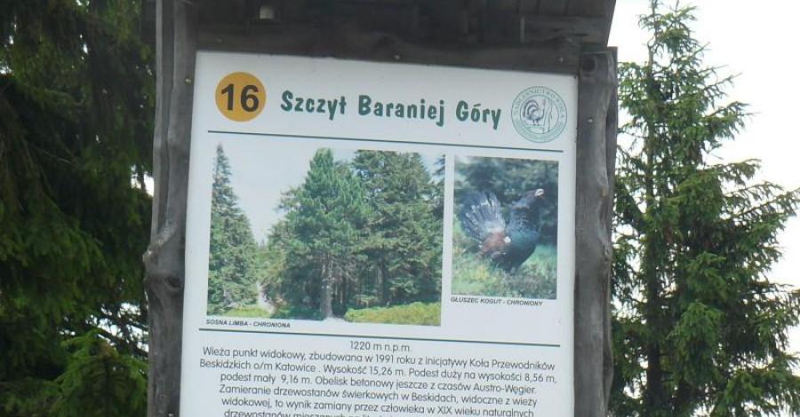 Barania góra - zdjęcie