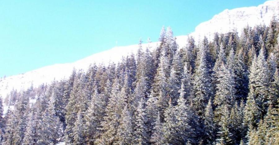 Zimowe Zakopane - zdjęcie