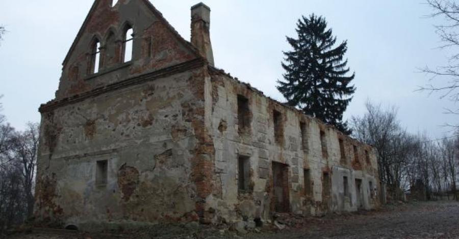 Mycielin - ruiny zespołu parkowo pałacowego. - zdjęcie