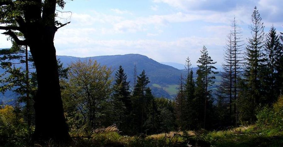 RÓWNICA - Ustroń Zdrój - Beskid Śląski - zdjęcie