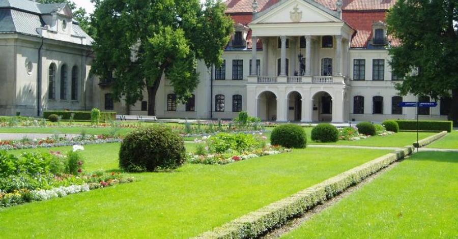 Kozłówka - zdjęcie