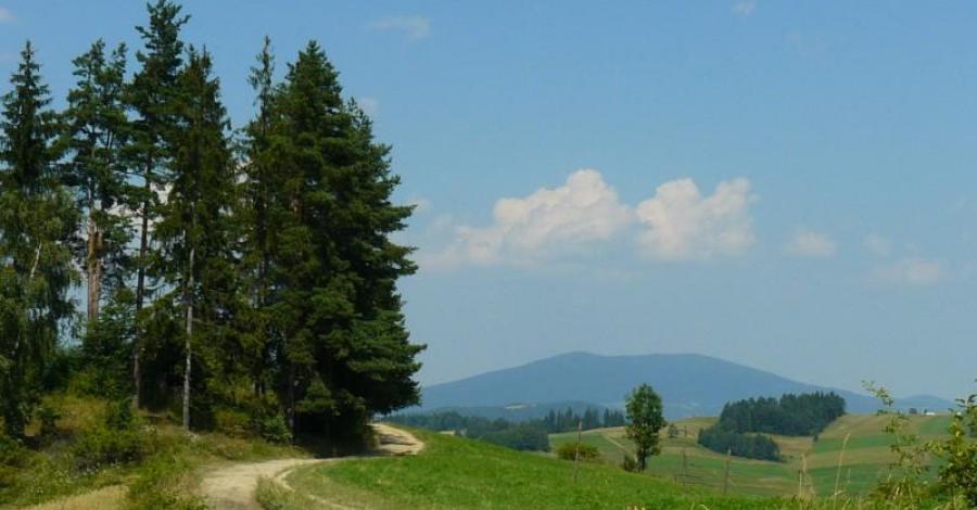 Maciejowa 852 m.n.p.m. - Stare Wierchy 980 m.n.p.m. - zdjęcie