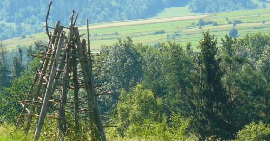 Grzebień - 677 m.n.p.m. - zdjęcie