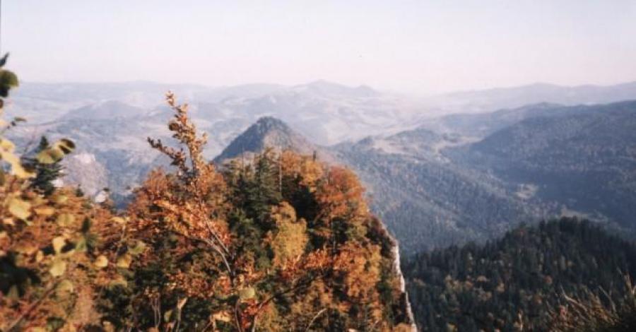 Szczawnica, Pieniny, - zdjęcie