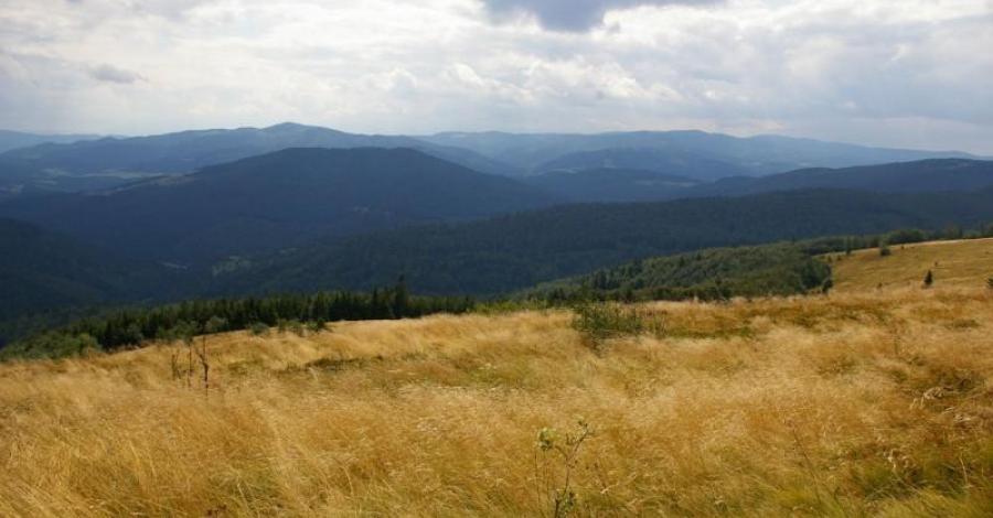 Beskid Wyspowy - Mogielica (1170 m n.p.m.) - zdjęcie