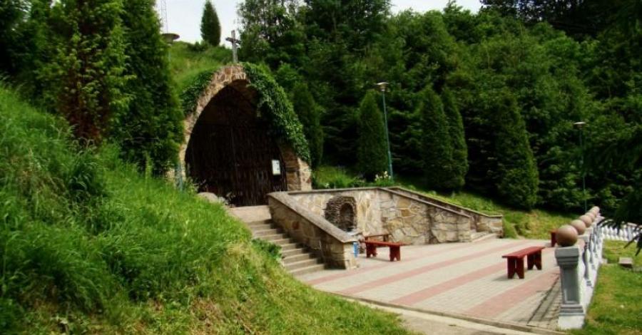 Tajemnice rezerwatu Przełom Sanu pod Grodziskiem - zdjęcie