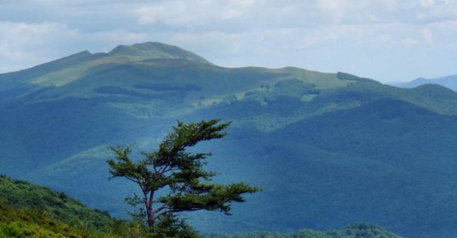 W Bieszczady Doliną Solinki - zdjęcie