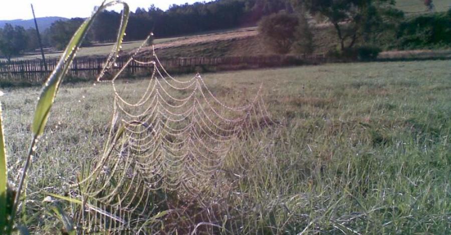 Biskupia Kopa rowerem przez Czechy - zdjęcie