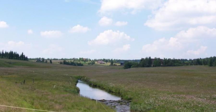 Góry Izerskie - zdjęcie
