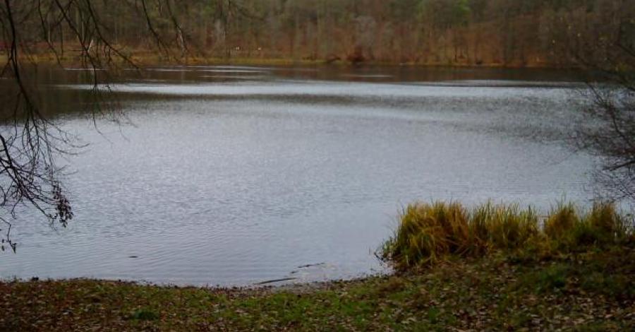 WPN- Wielkopolski Park Narodowy - zdjęcie